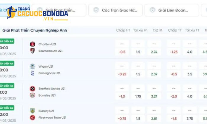 8live - Sân chơi cá cược thể thao uy tín dành cho dân chuyên 8live – nhà cái bậc nhất hiện nay