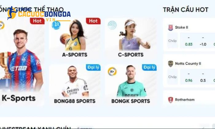 8live - Sân chơi cá cược thể thao uy tín dành cho dân chuyên Giao diện 8live thu hút ngay từ cái nhìn đầu tiên