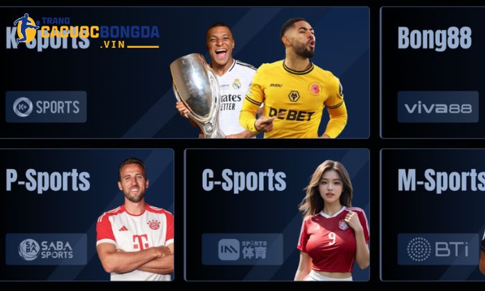 Bong99 – Sảnh cược thể thao đẳng cấp hàng đầu Việt Nam Bong99 là nhà cái chuyên nghiệp trong lĩnh vực cá cược trực tuyến