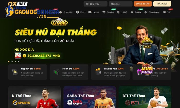 Oxbet - Sân chơi đẳng cấp dành cho mọi cược thủ Lợi ích của thành viên tại Oxbet