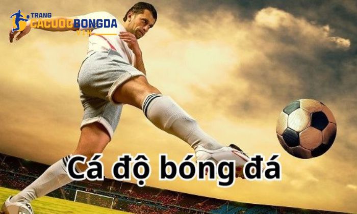 Về chúng tôi - Trang cá cược bóng đá điểm đến uy tín cho Lý do nên lựa chọn trangcacuocbongda.vin