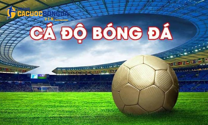 Về chúng tôi - Trang cá cược bóng đá điểm đến uy tín cho Cam kết của chúng tôi với người chơi