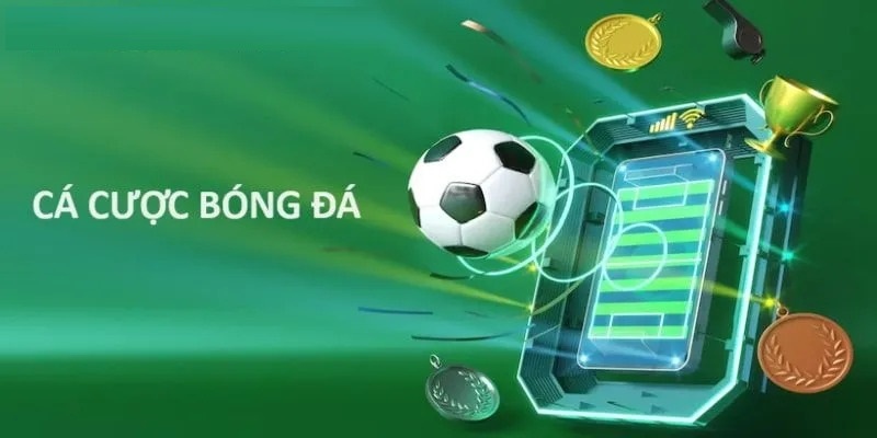 Trang cá độ bóng đá online dần trở nên phổ biến hơn trong vài năm nay